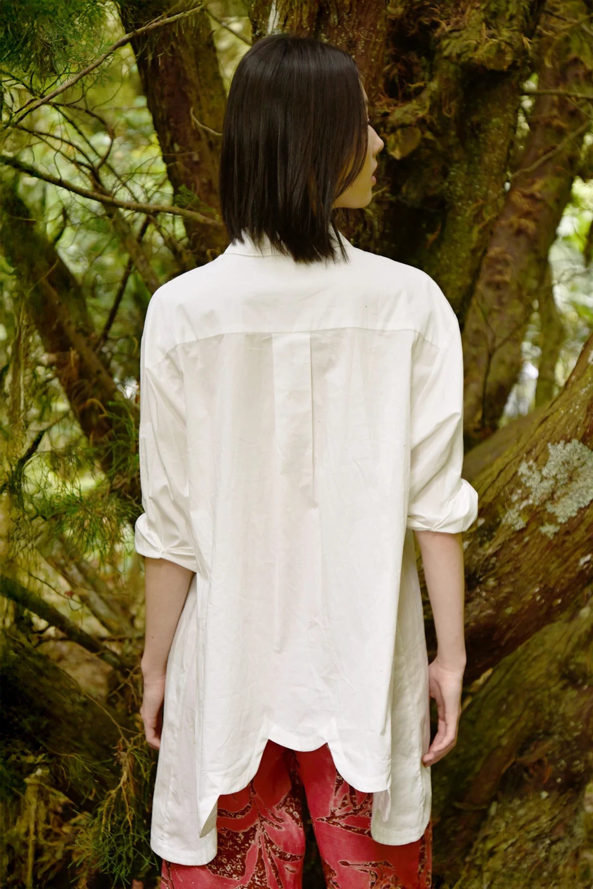 Shirt Warrant Shirt White