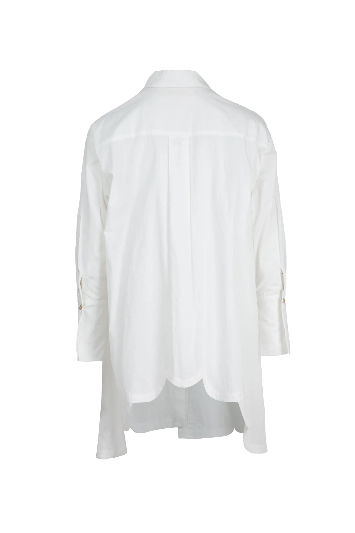 Shirt Warrant Shirt White